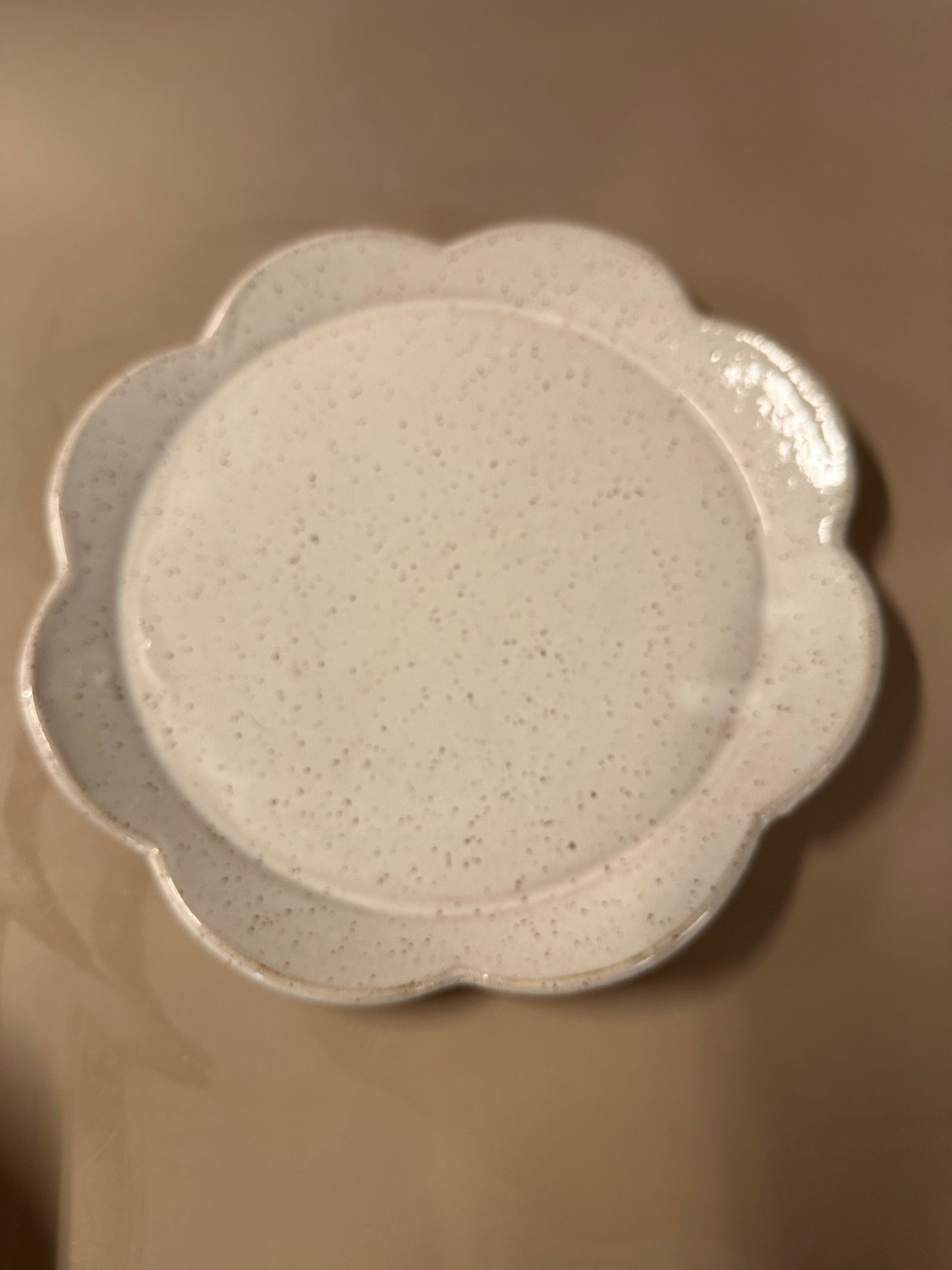 4 Piece Dinner Set